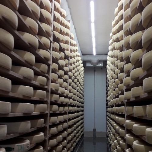 Changement de luminaire dans une fromagerie